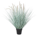 The Cattail Grass WIth Pot 92cm - Green - YE21 - Available In-Store Only available to purchase from Warehouse Furniture Clearance at our next sale event.