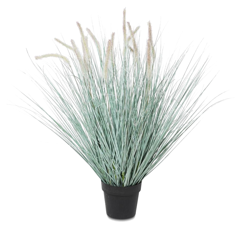 The Cattail Grass WIth Pot 92cm - Green - YE21 - Available In-Store Only available to purchase from Warehouse Furniture Clearance at our next sale event.