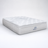 The Cloud Coil Pocket Spring Queen Mattress - Medium