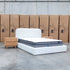 The Elm Double Upholstered Bed - Cream