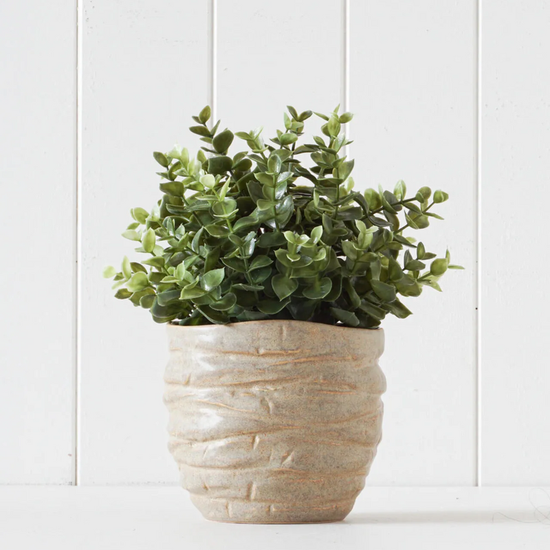 The Rayell Sprosse Pot - Tan - HGC22  - Available Instore Only available to purchase from Warehouse Furniture Clearance at our next sale event.