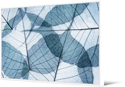 The Fossil Leaves Wall Art - Blue Multi - HE36 - Available In-Store Only available to purchase from Warehouse Furniture Clearance at our next sale event.