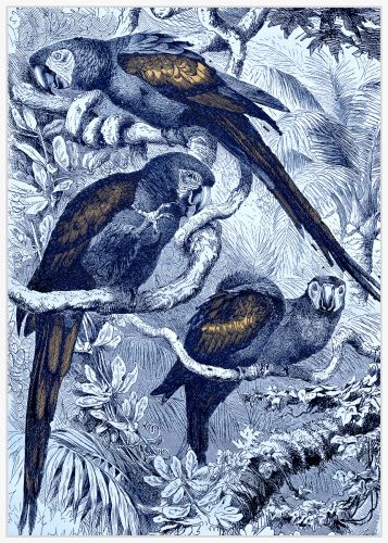 The Blue Parrots Wallart - White/Blue Multi - HE55 - Available In-Store Only available to purchase from Warehouse Furniture Clearance at our next sale event.