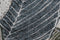 The Bayliss Kensington 200 x 290cm Rug - Tropic - Available after 8th of December available to purchase from Warehouse Furniture Clearance at our next sale event.